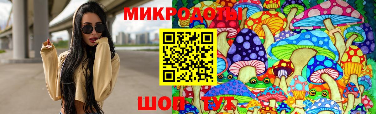ГАШ Курчатов